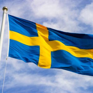 رحلة مهنية إلى السويد في الابتكار الحكومي